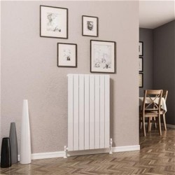 Eastbrook DR - Addington 1000 x 588mm Radiator Type 10