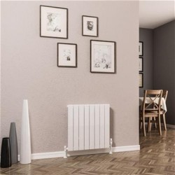 Eastbrook DR - Addington 600 x 588mm Radiator Type 10